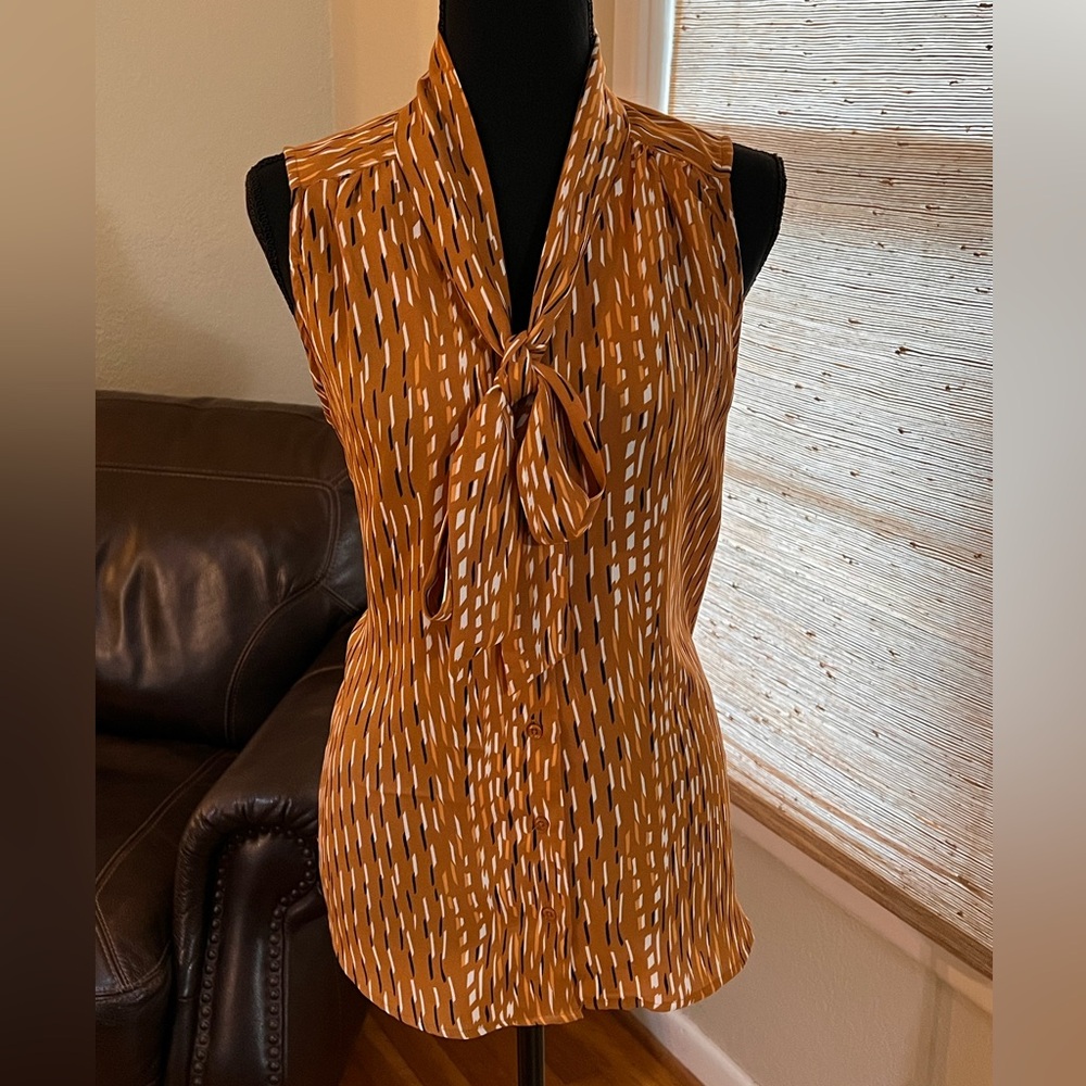 Dressy Tie Neck Blouse